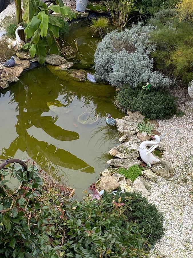 La Maison Du Bonheur Saintry-sur-Seine Luaran gambar