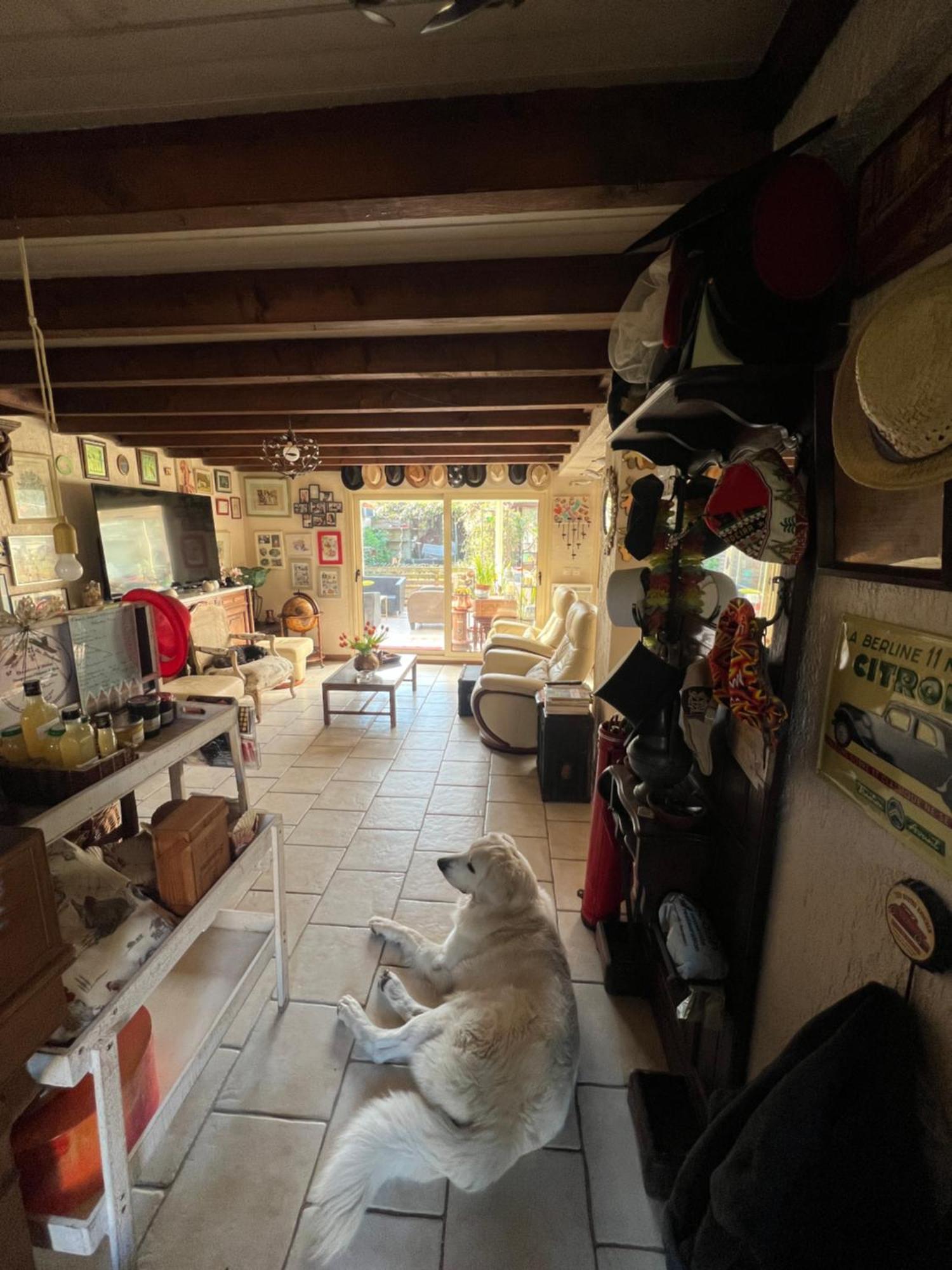 La Maison Du Bonheur Saintry-sur-Seine Luaran gambar
